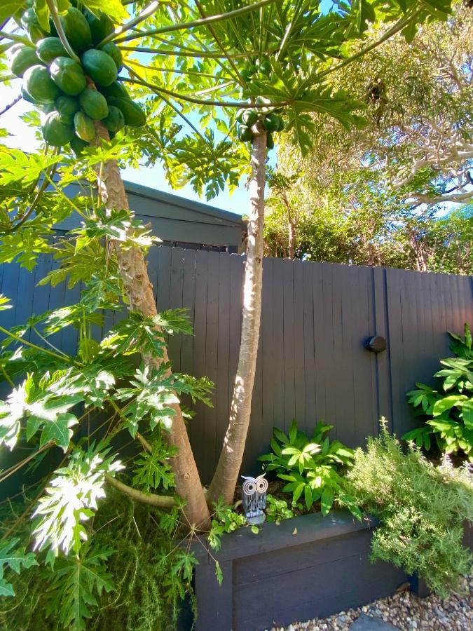 The Mitchell Bondi Garden 4 Apartment Sydney Exterior photo